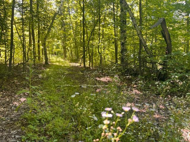 Lot 2 County Rd Bb Property Photo 8