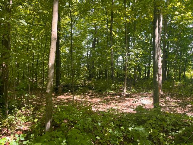 Lot 2 County Rd Bb Property Photo 9
