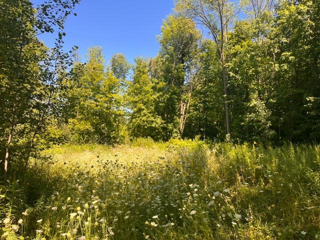 Lot 3 60th Avenue Property Photo 1