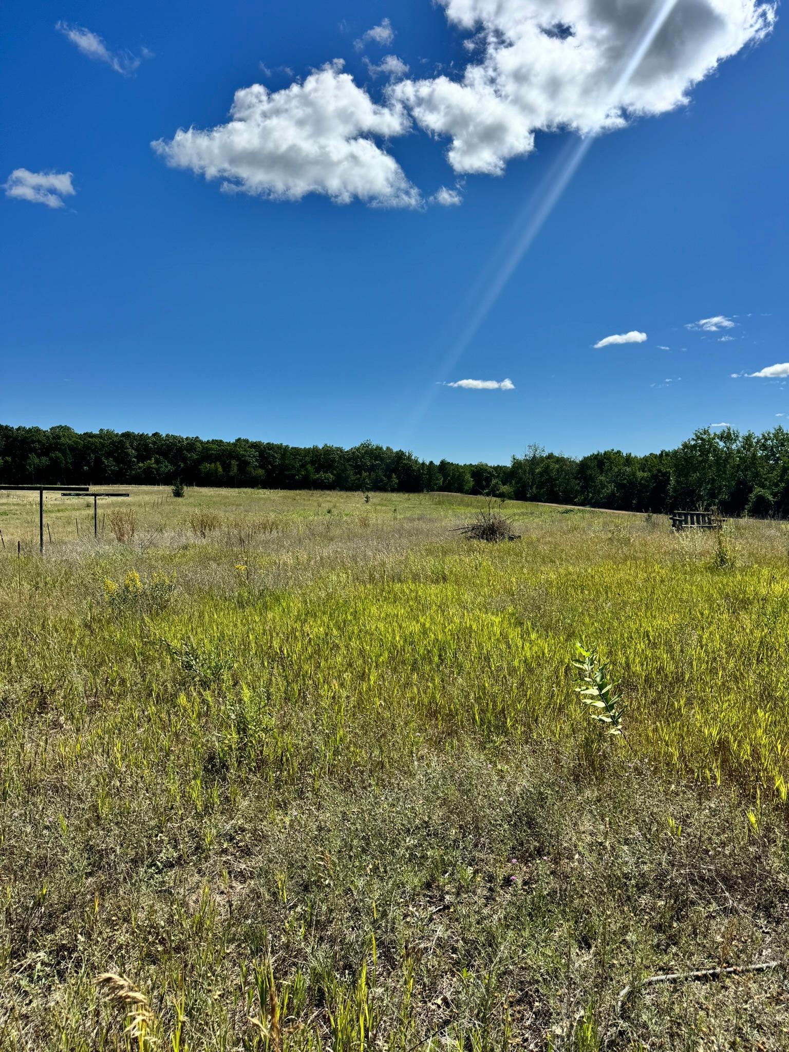 22315 Daisy Road Property Photo 3