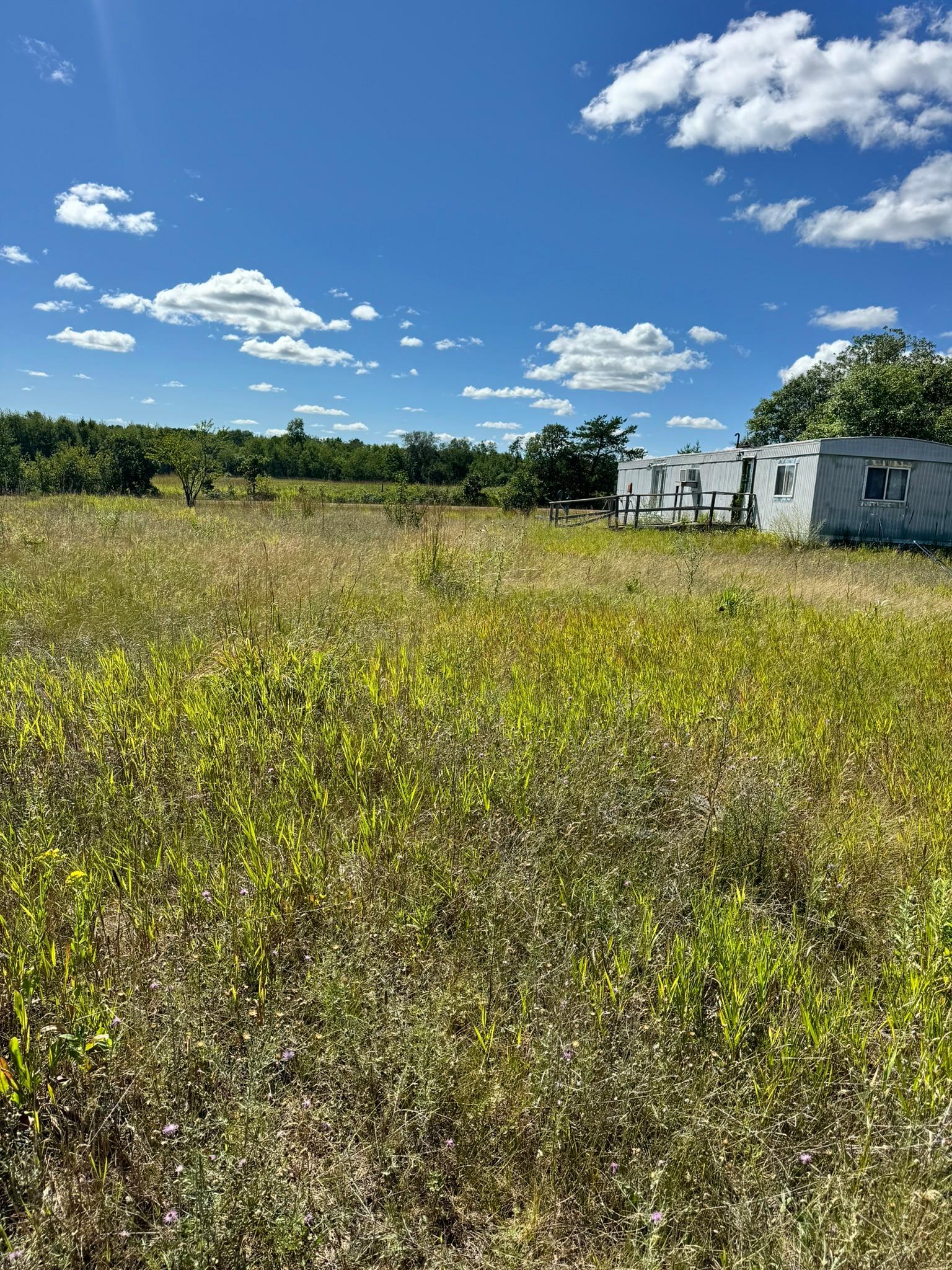 22315 Daisy Road Property Photo 4