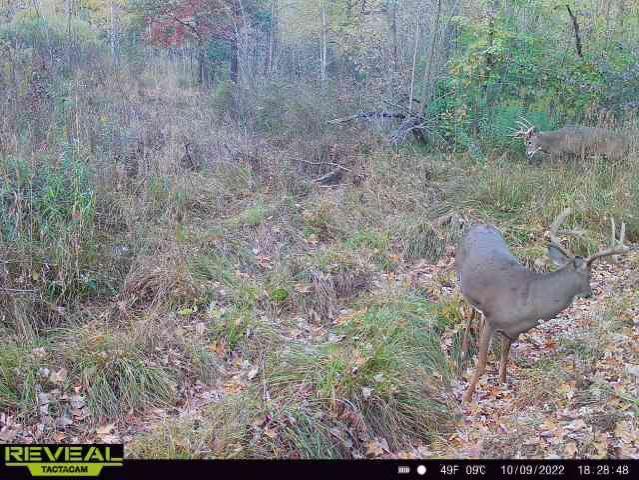 000 Beroun Crossing Rd Property Photo 1