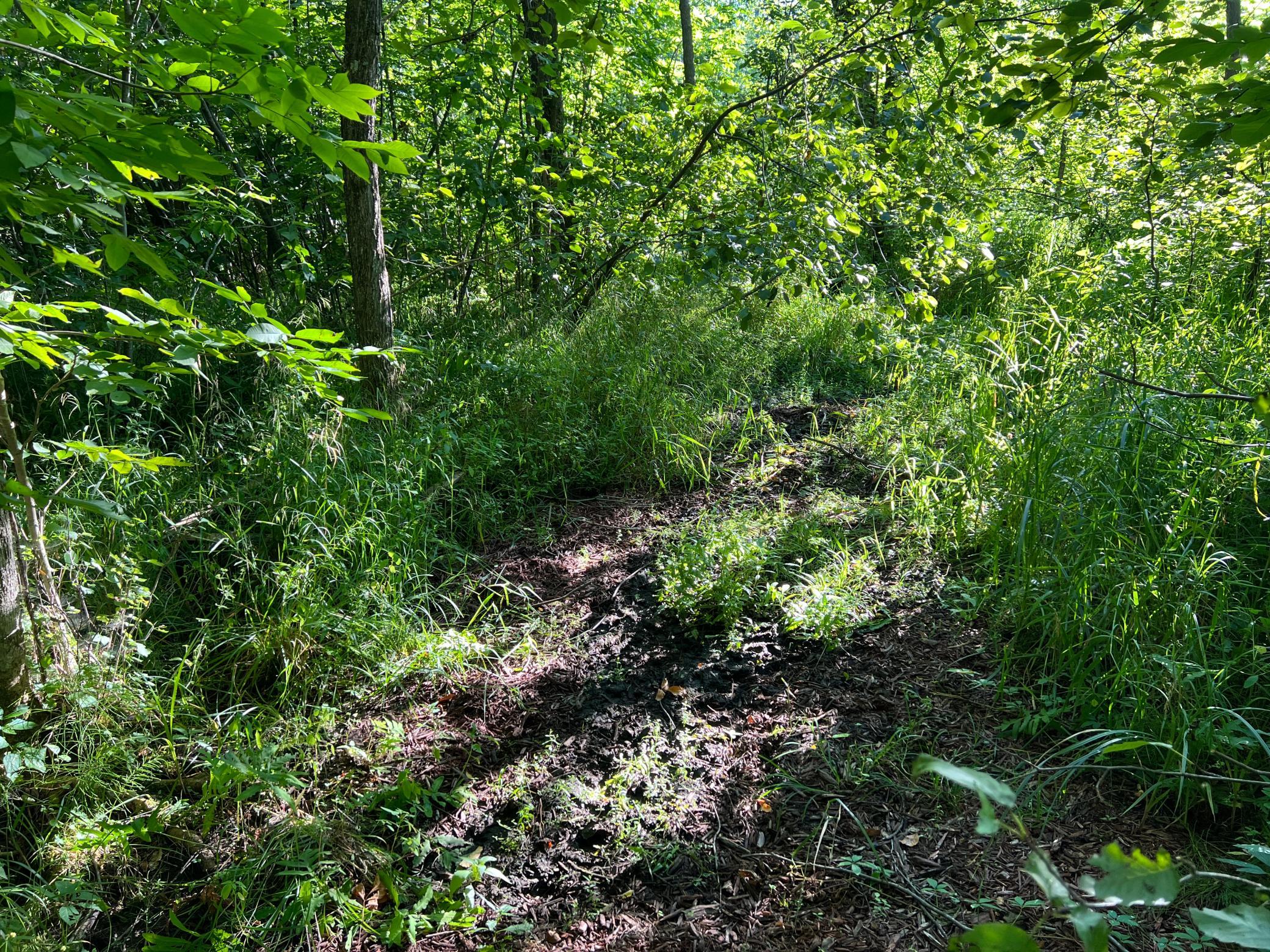 000 Beroun Crossing Rd Property Photo 9
