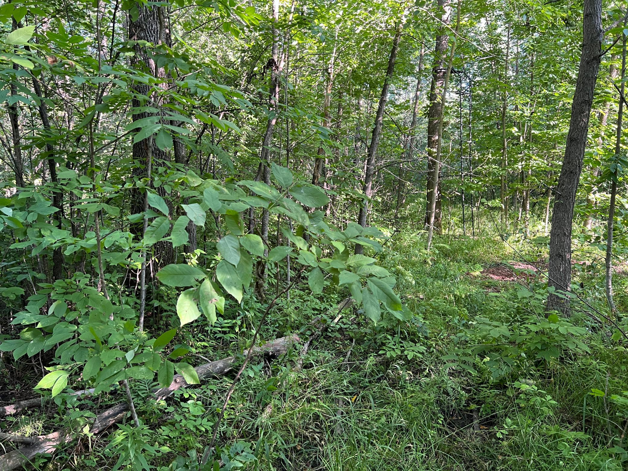 000 Beroun Crossing Rd Property Photo 10