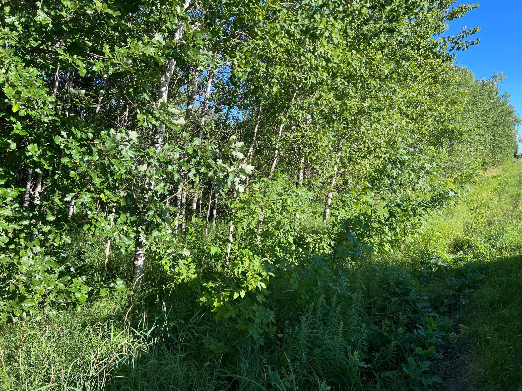 000 Beroun Crossing Rd Property Photo 11