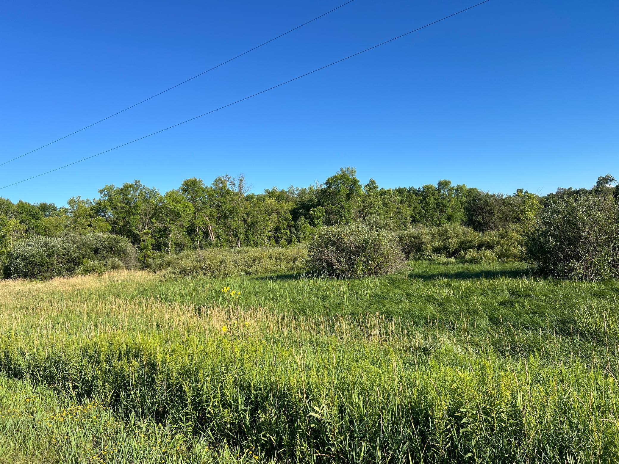 000 Beroun Crossing Rd Property Photo 15