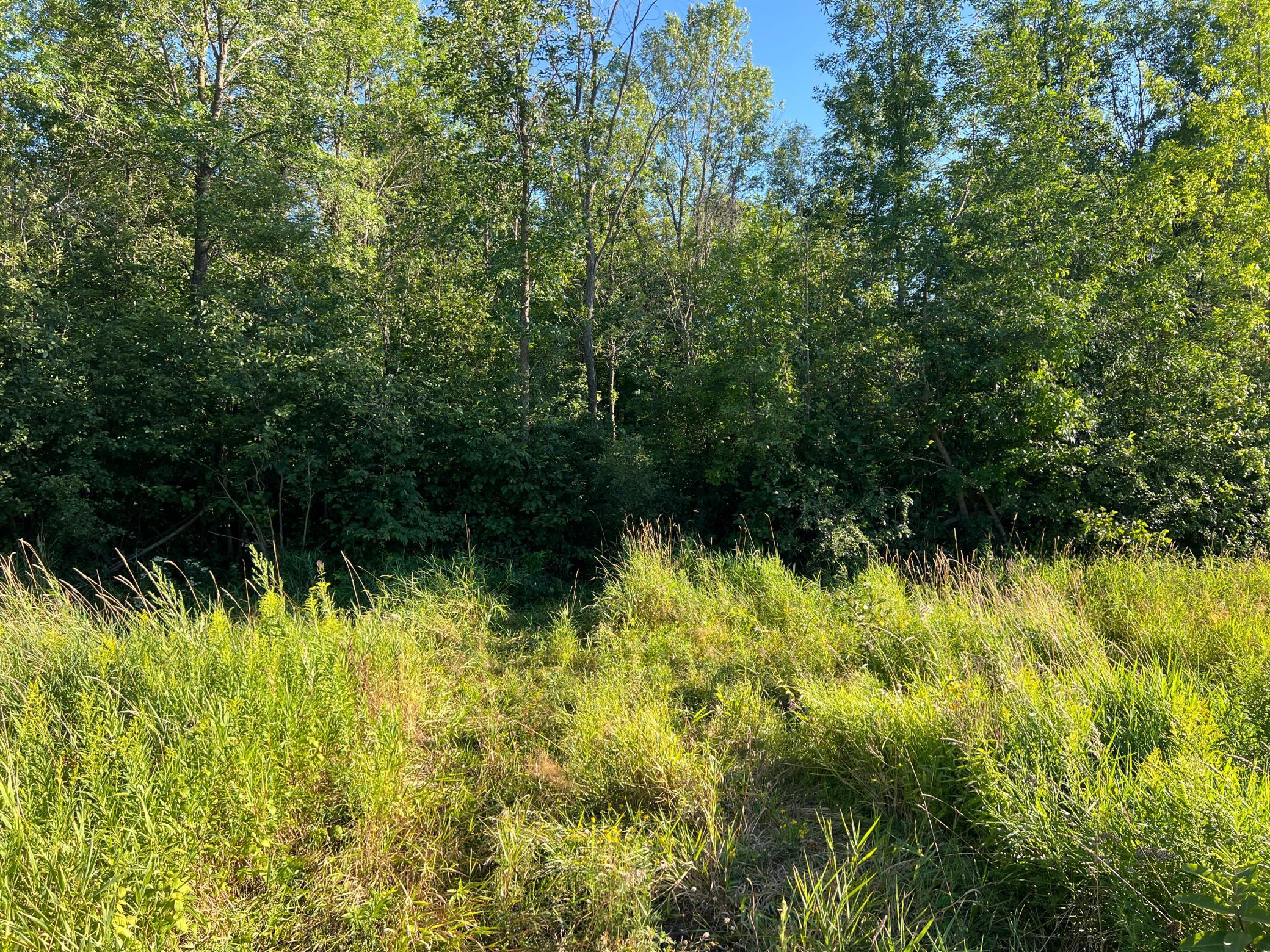 000 Beroun Crossing Rd Property Photo 17