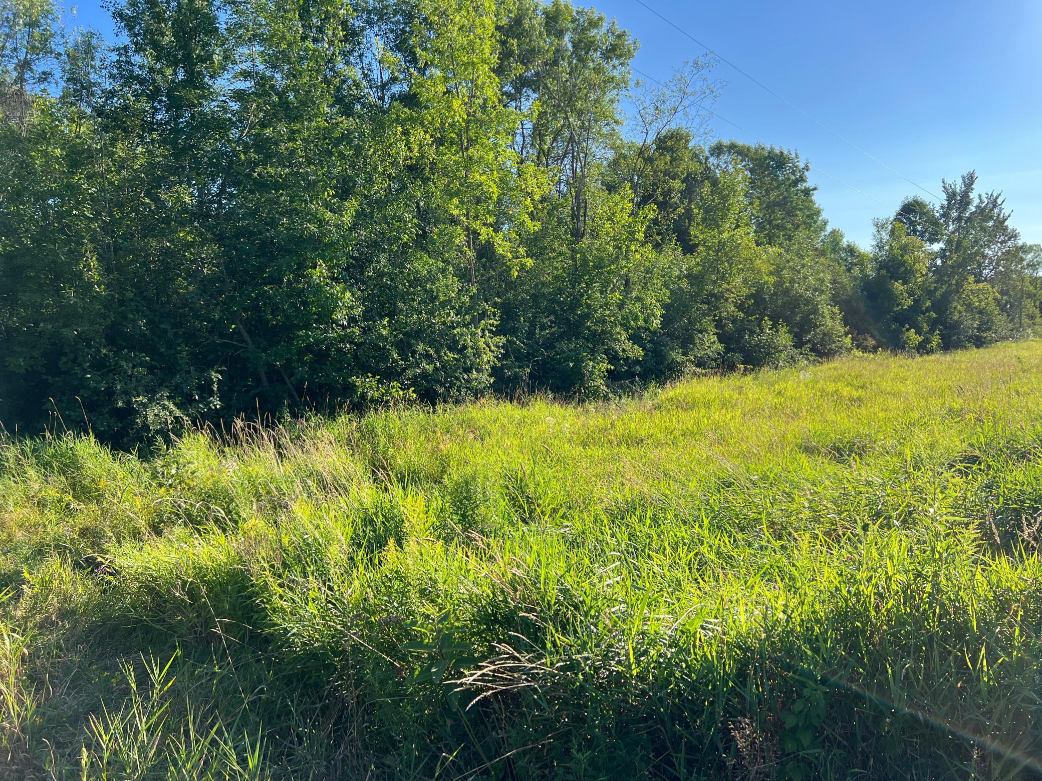 000 Beroun Crossing Rd Property Photo 18