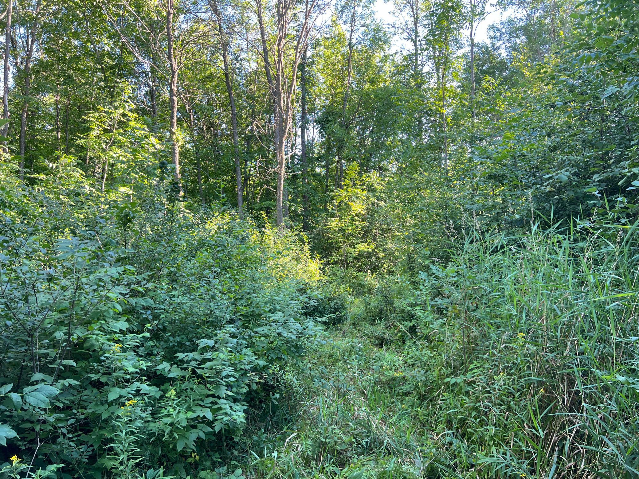000 Beroun Crossing Rd Property Photo 19