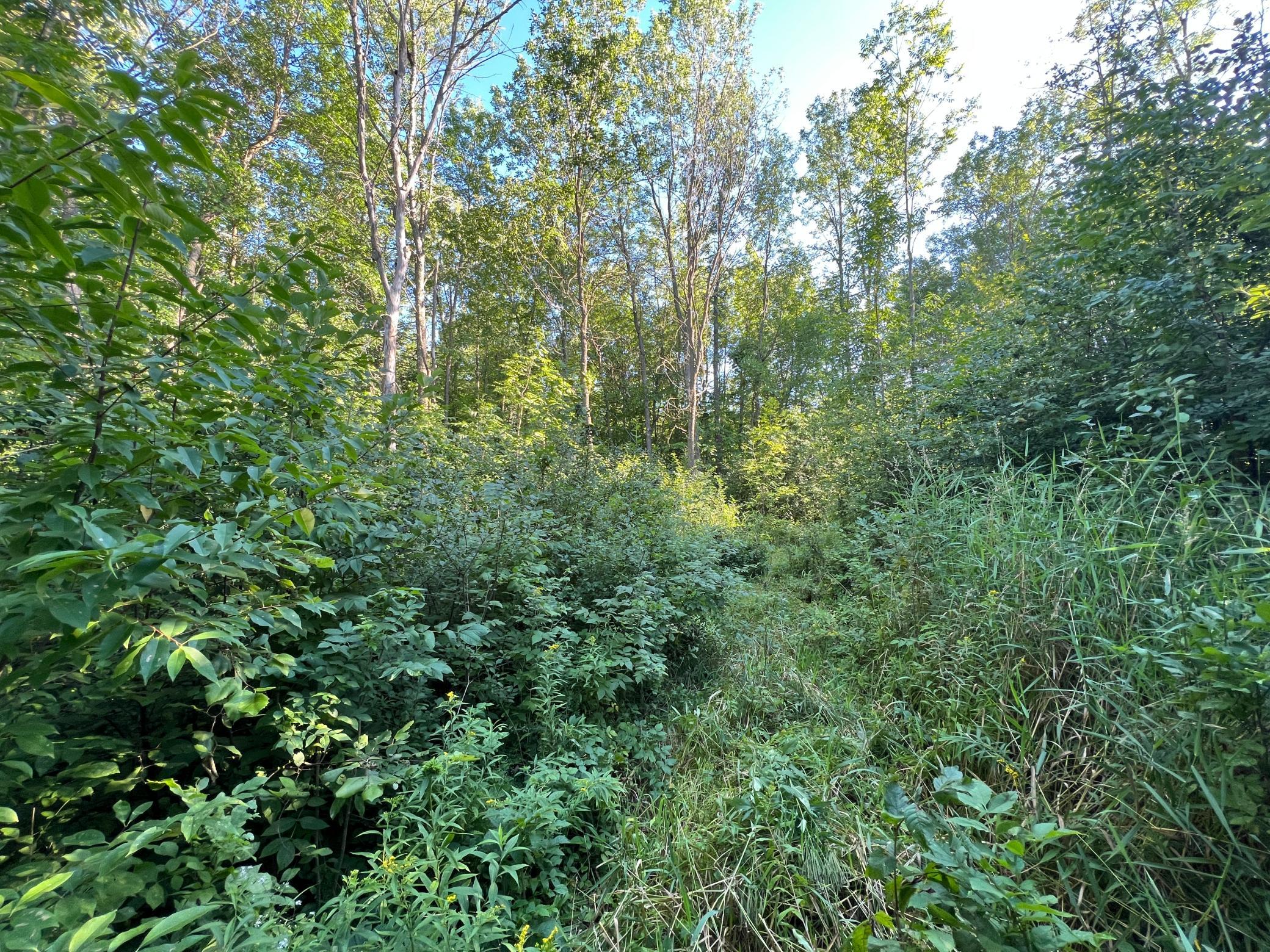 000 Beroun Crossing Rd Property Photo 20