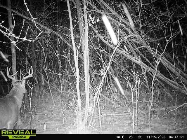 000 Beroun Crossing Rd Property Photo 25