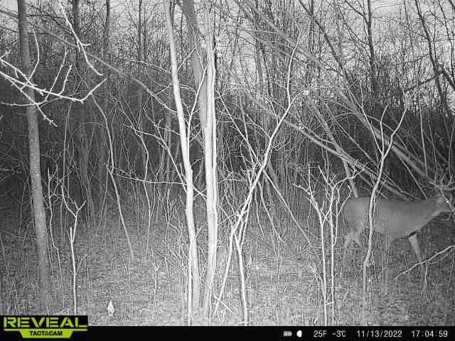000 Beroun Crossing Rd Property Photo 26