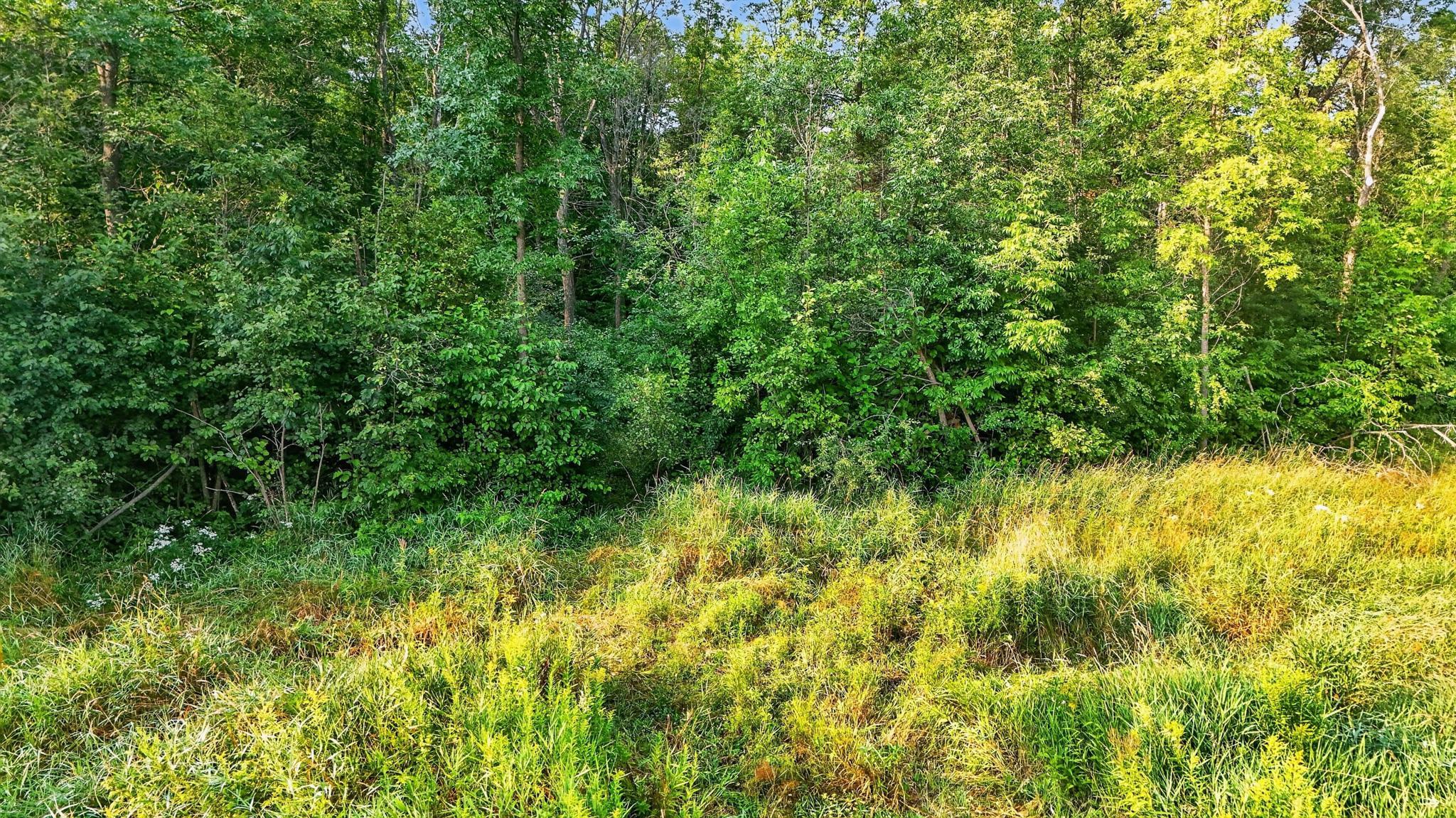 000 Beroun Crossing Rd Property Photo 33