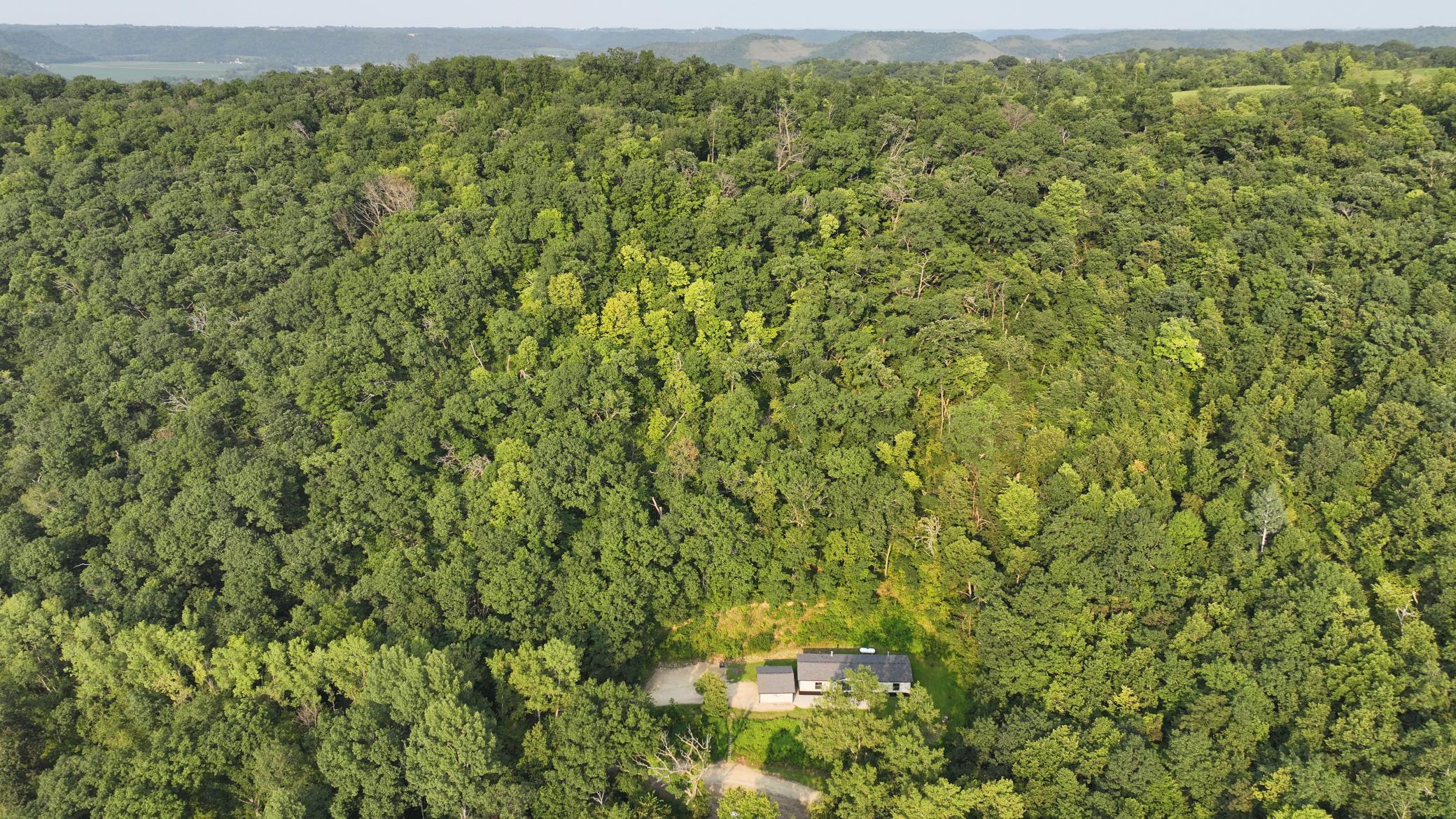 5755 Oak Forest Lane Property Photo 17