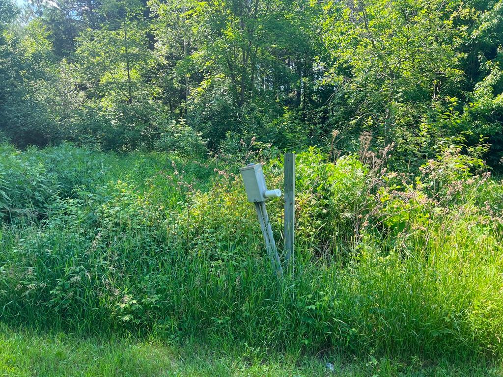 53131 Little Spring Road Property Photo 4