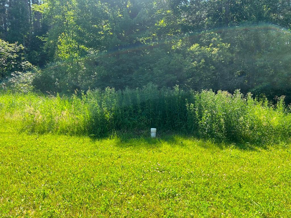 53131 Little Spring Road Property Photo 5