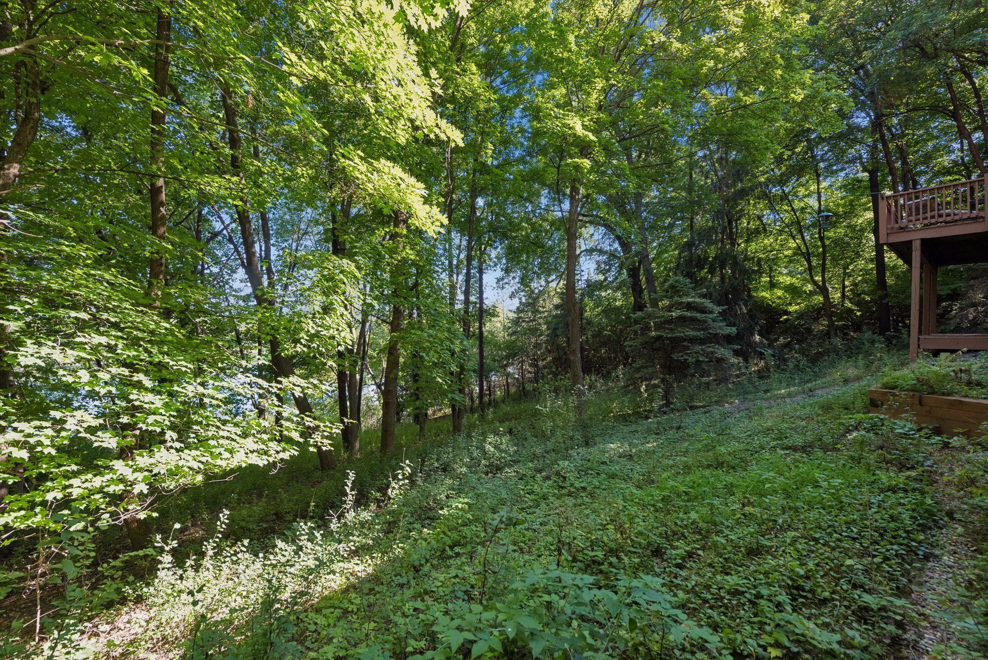 5845 Ridge Road Property Photo 54