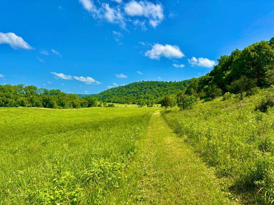 42112 State Highway 30 Property Photo 51