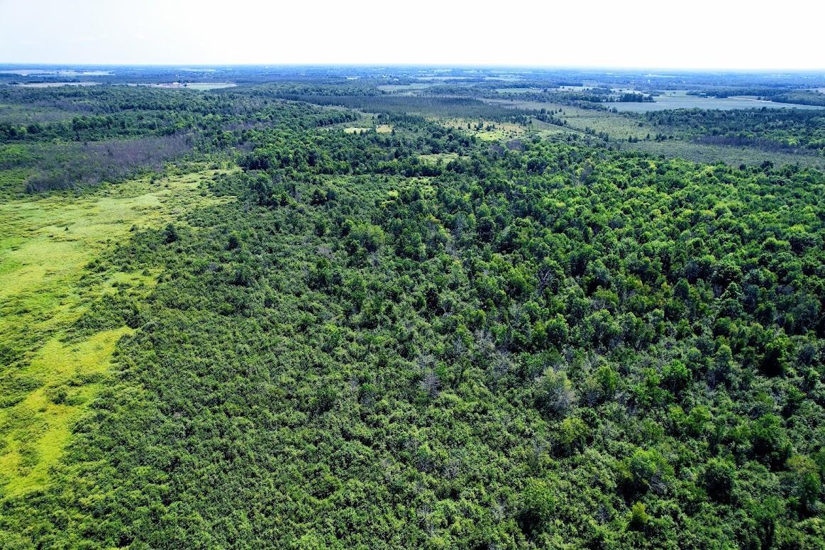 N2438 State Highway 27 Property Photo 29