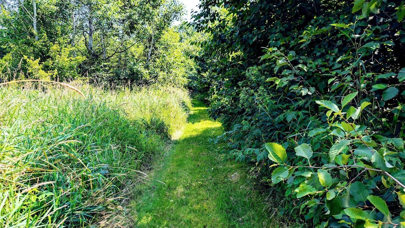 N2438 State Highway 27 Property Photo 37