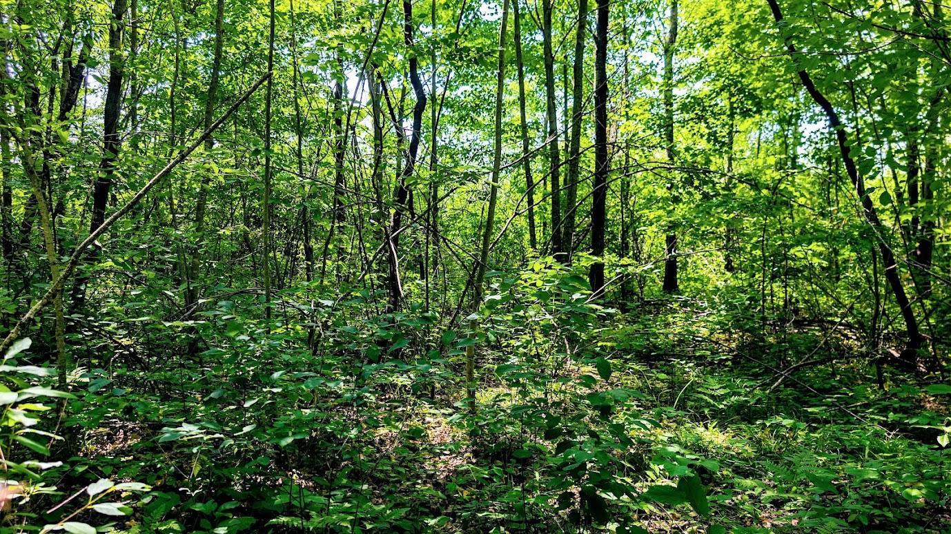 N2438 State Highway 27 Property Photo 41