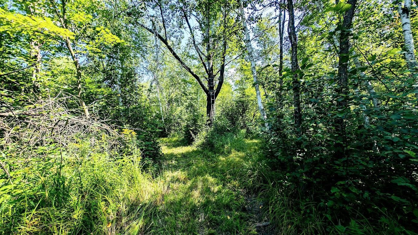 N2438 State Highway 27 Property Photo 51