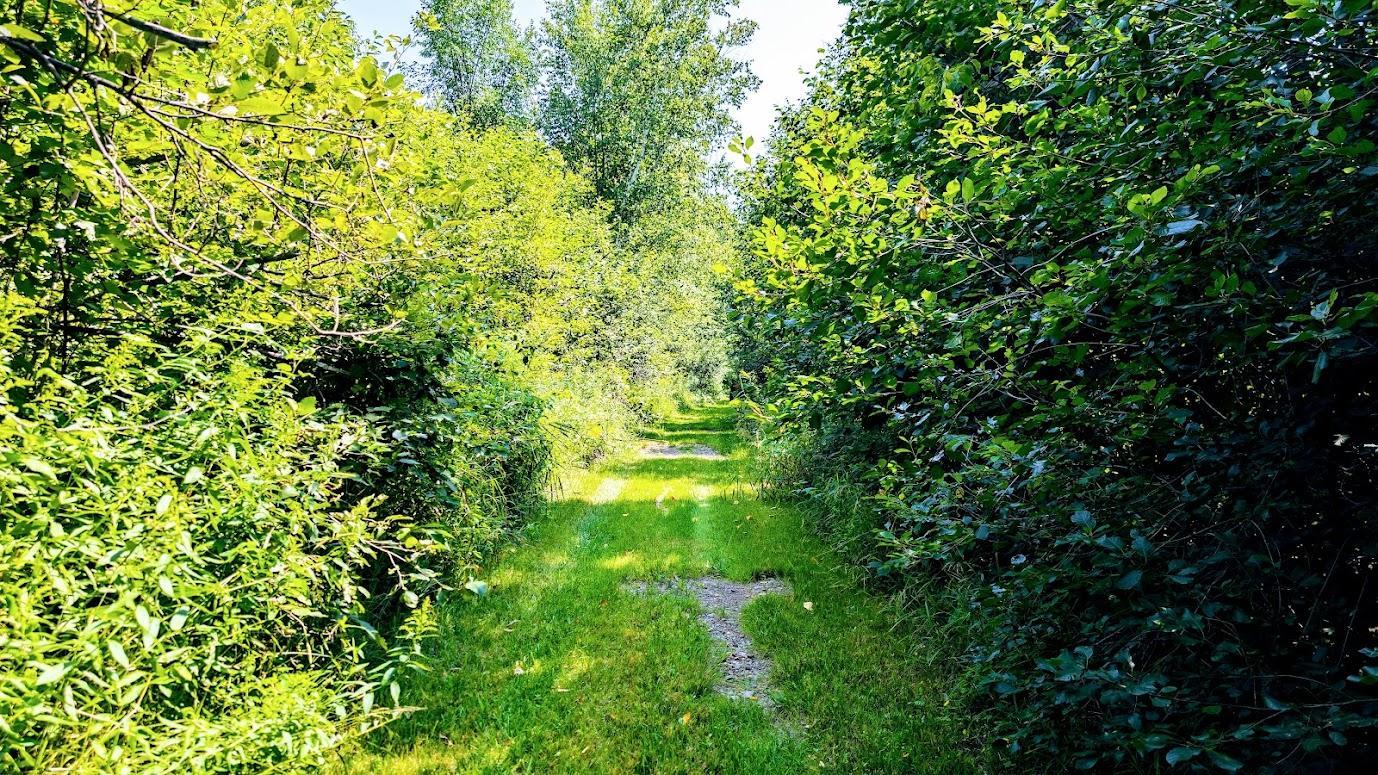 N2438 State Highway 27 Property Photo 56