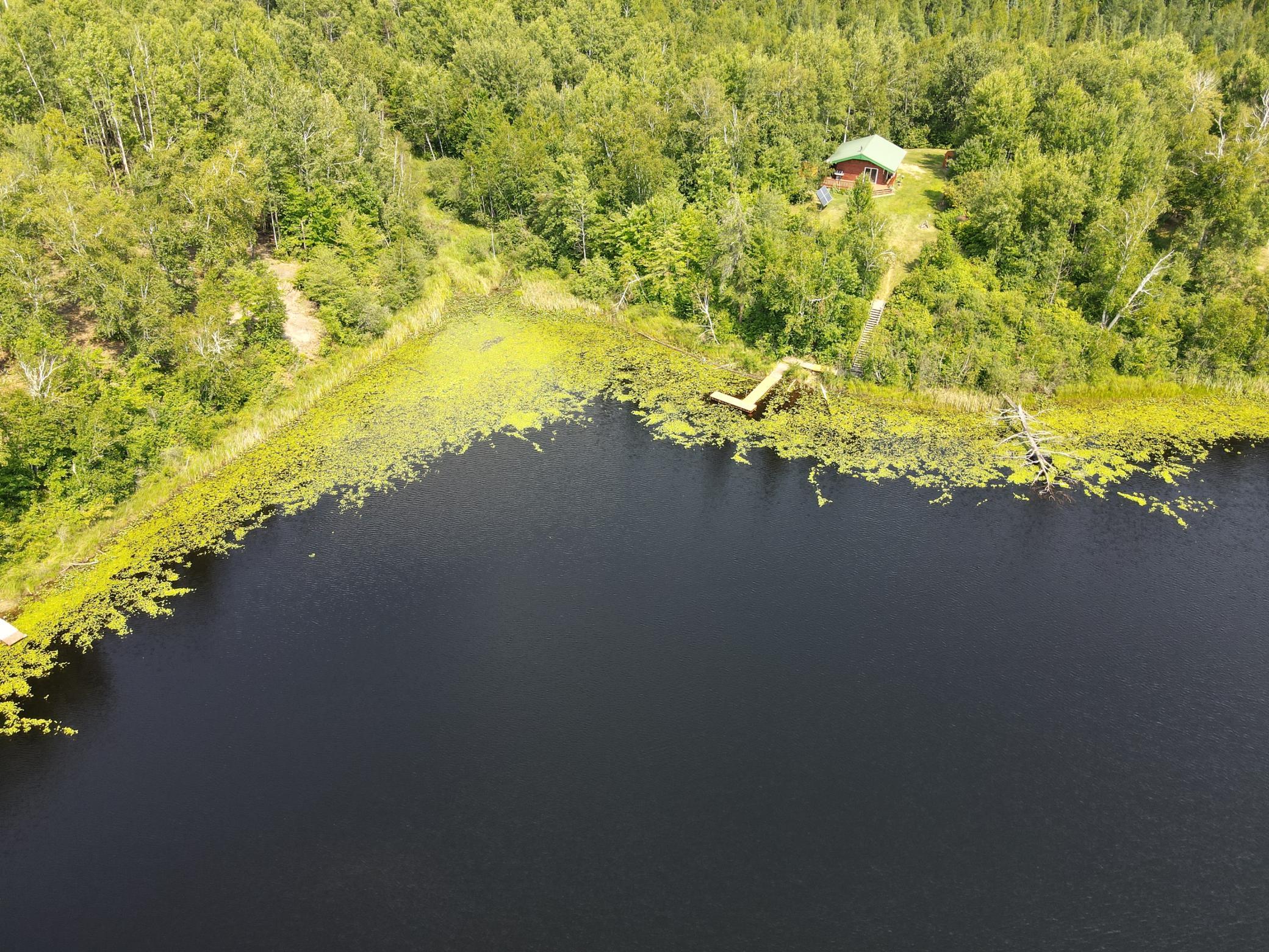 44616 Mcgrady Trail Property Photo 2