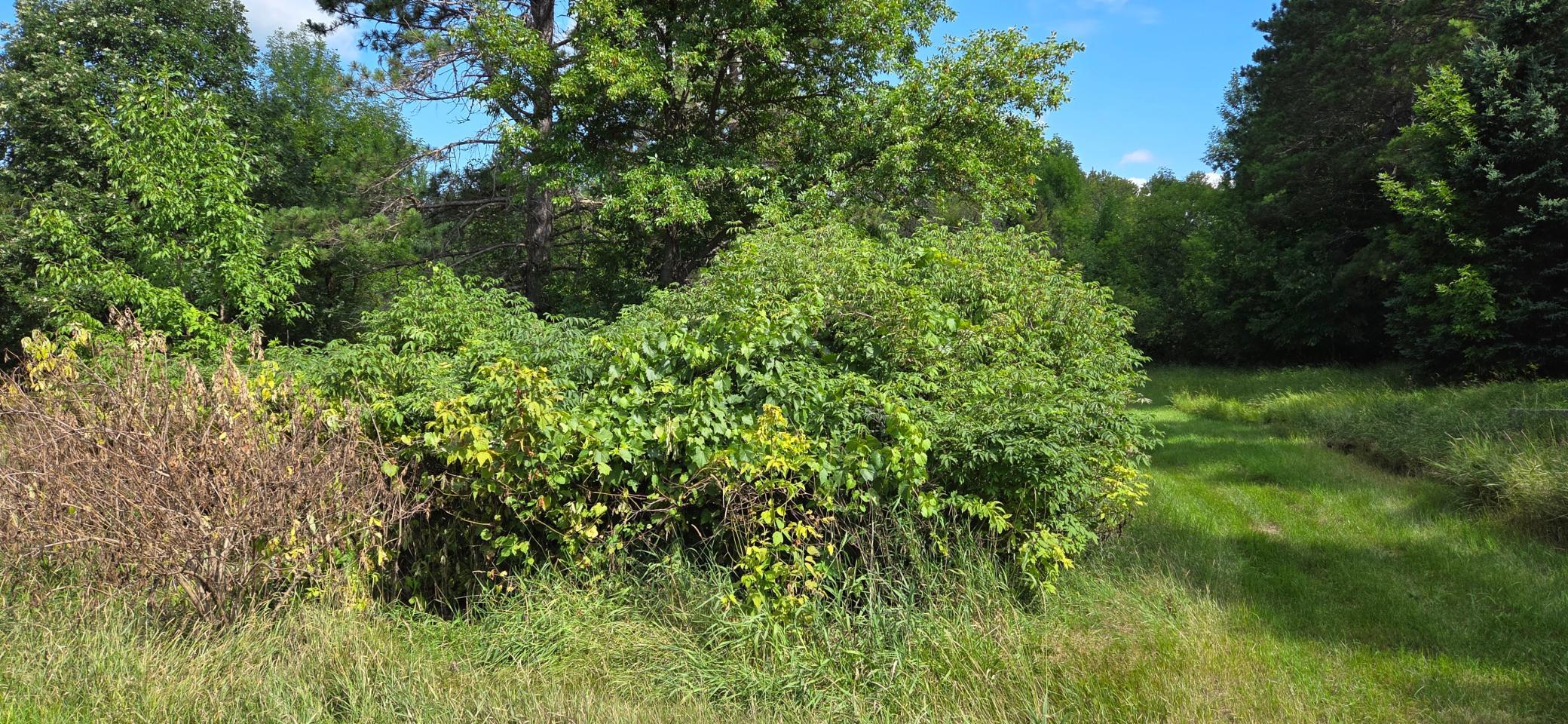 TBD Lot #3 Town Road 207 Property Photo 1