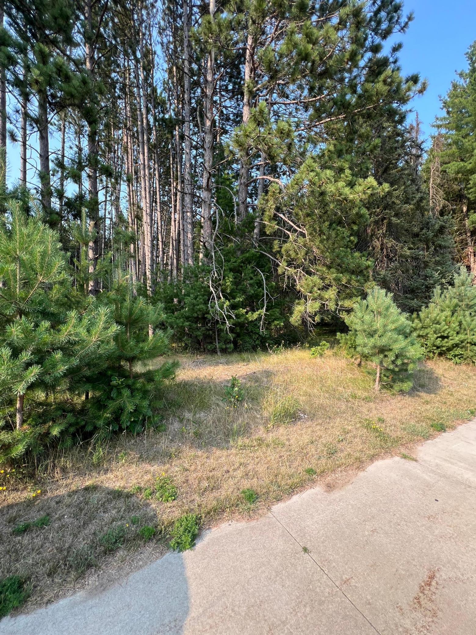 Tbd Ridgwood Property Photo 3