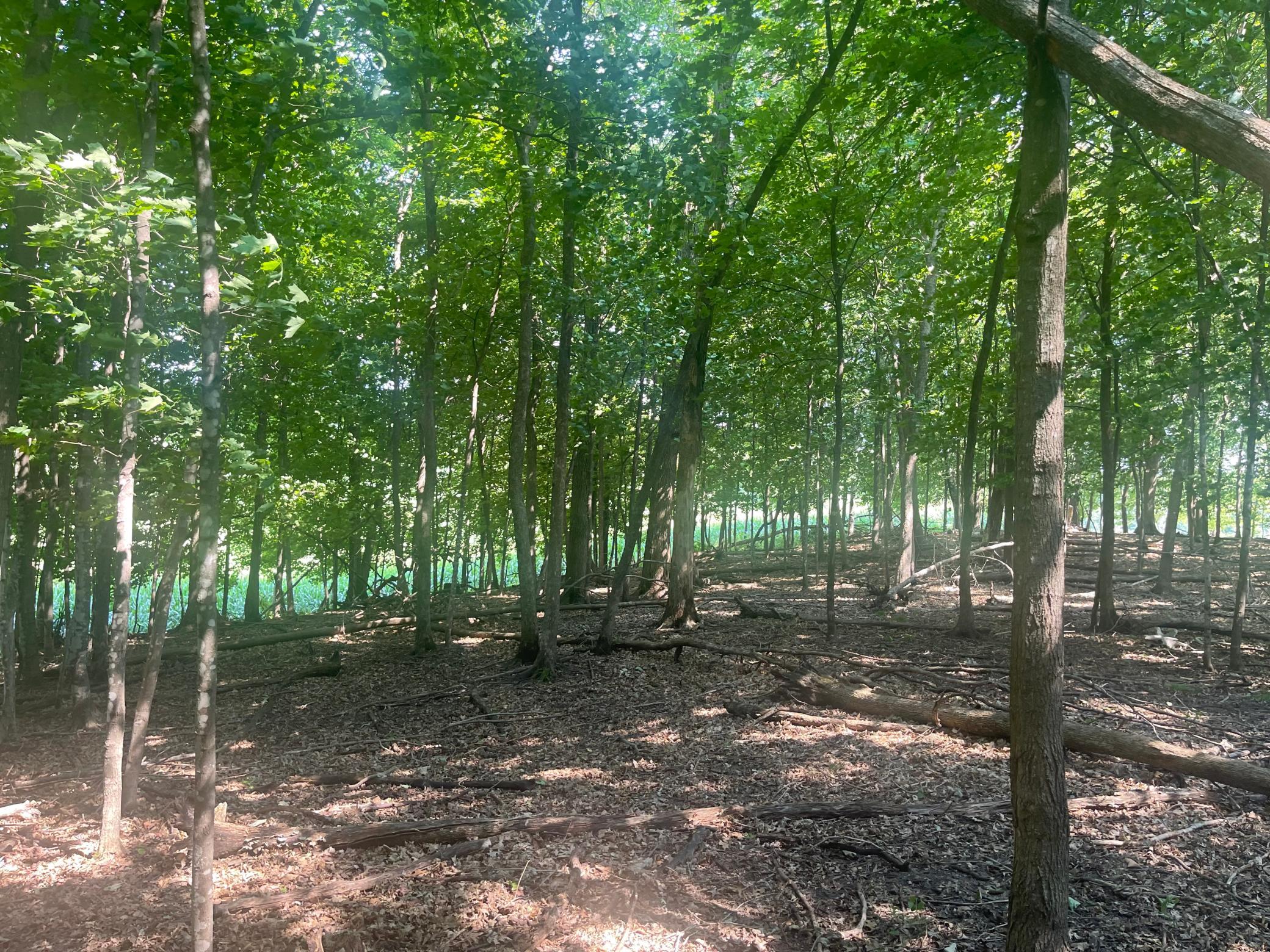 Tbd 190th Street Property Photo 12