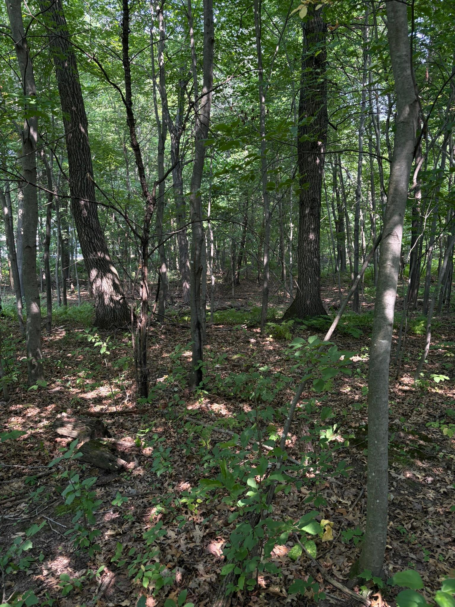 Tbd 366th Street Property Photo 1