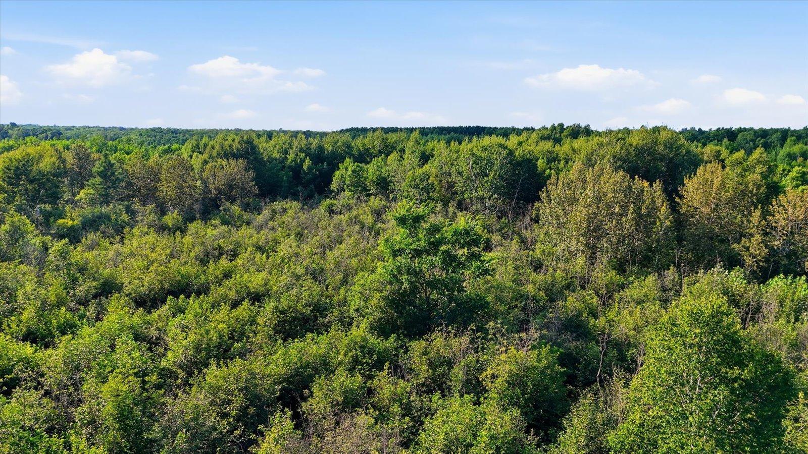 Tbd County Road 156 Property Photo 10