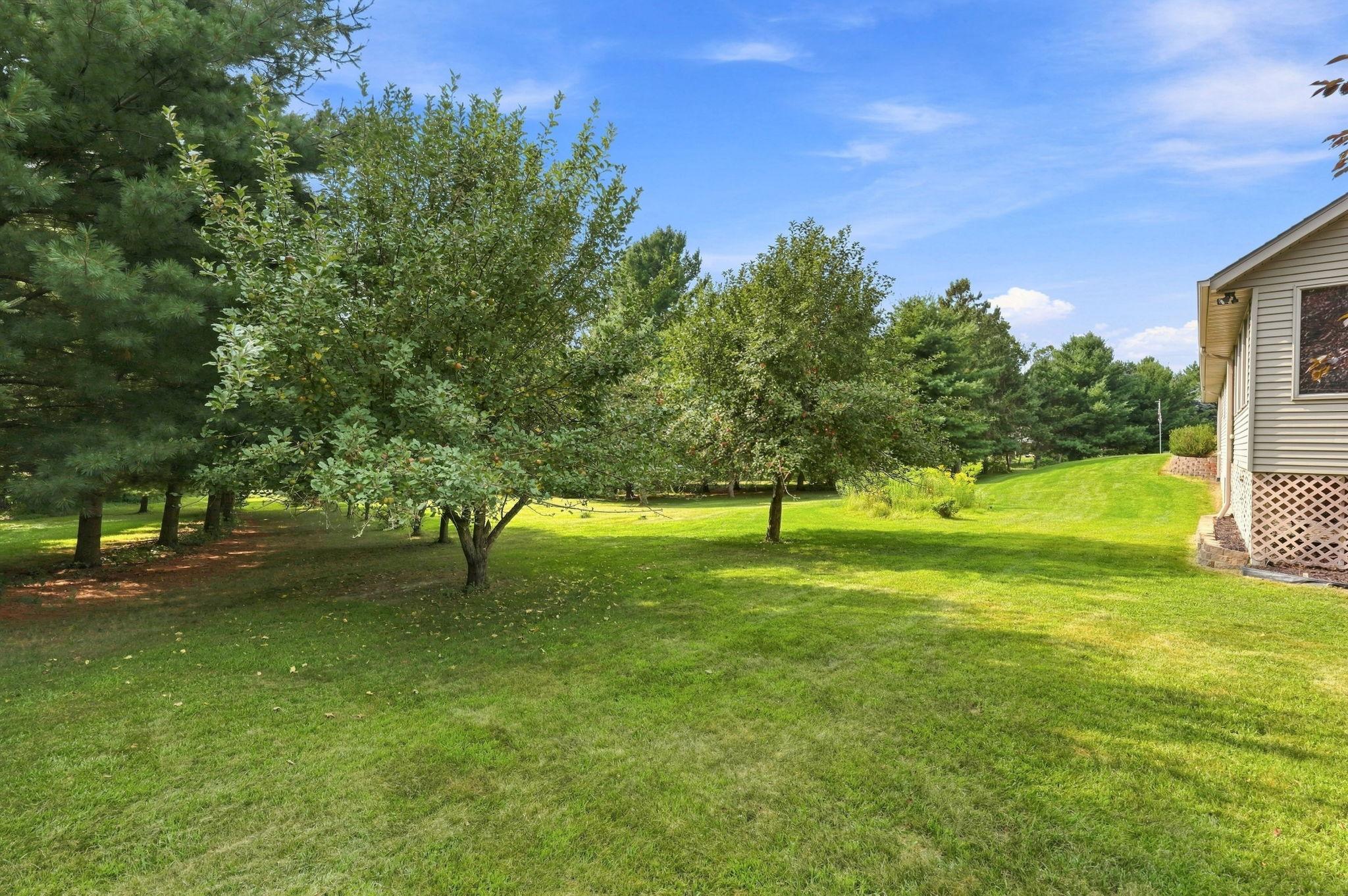 1208 83rd Avenue Property Photo 73