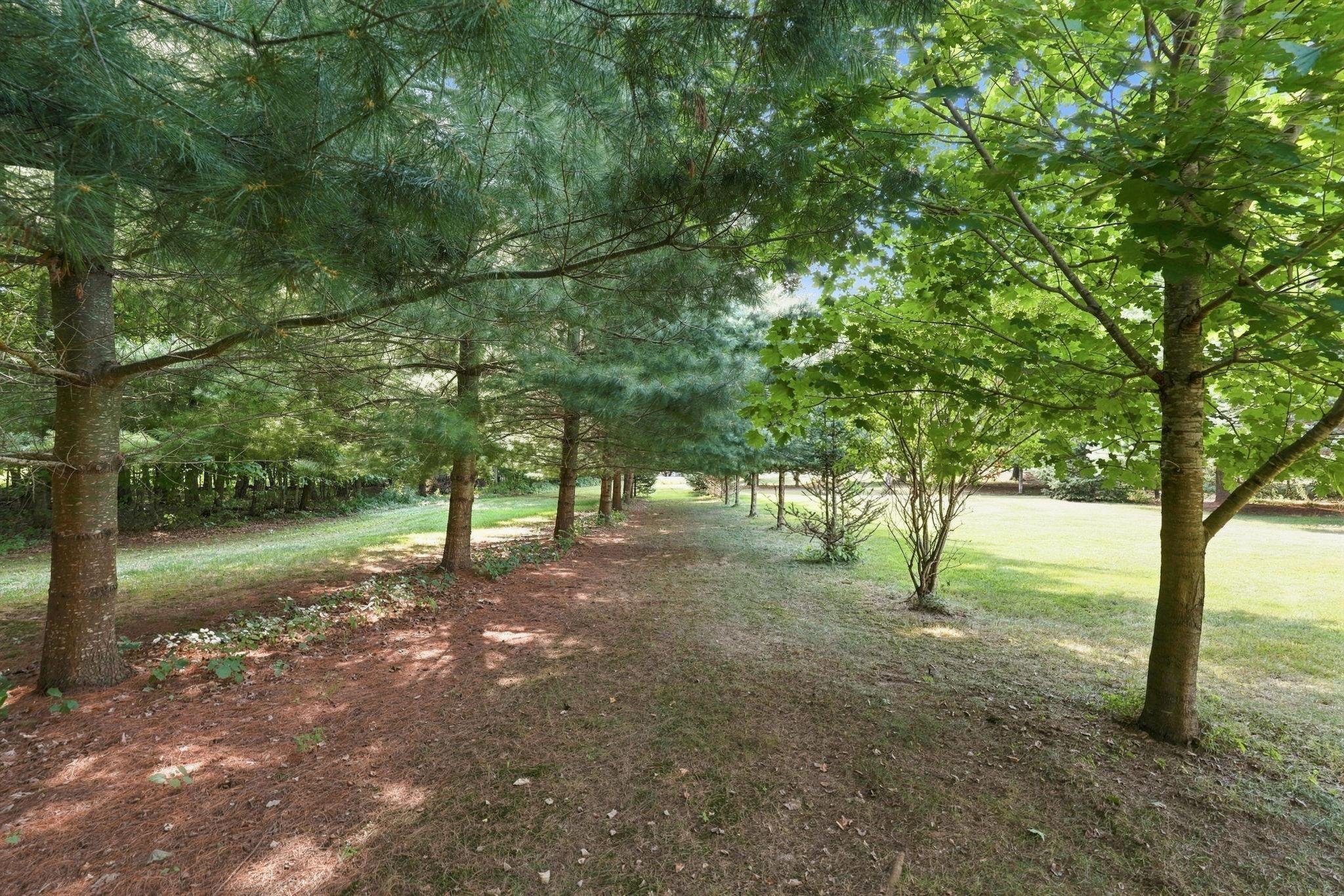 1208 83rd Avenue Property Photo 74