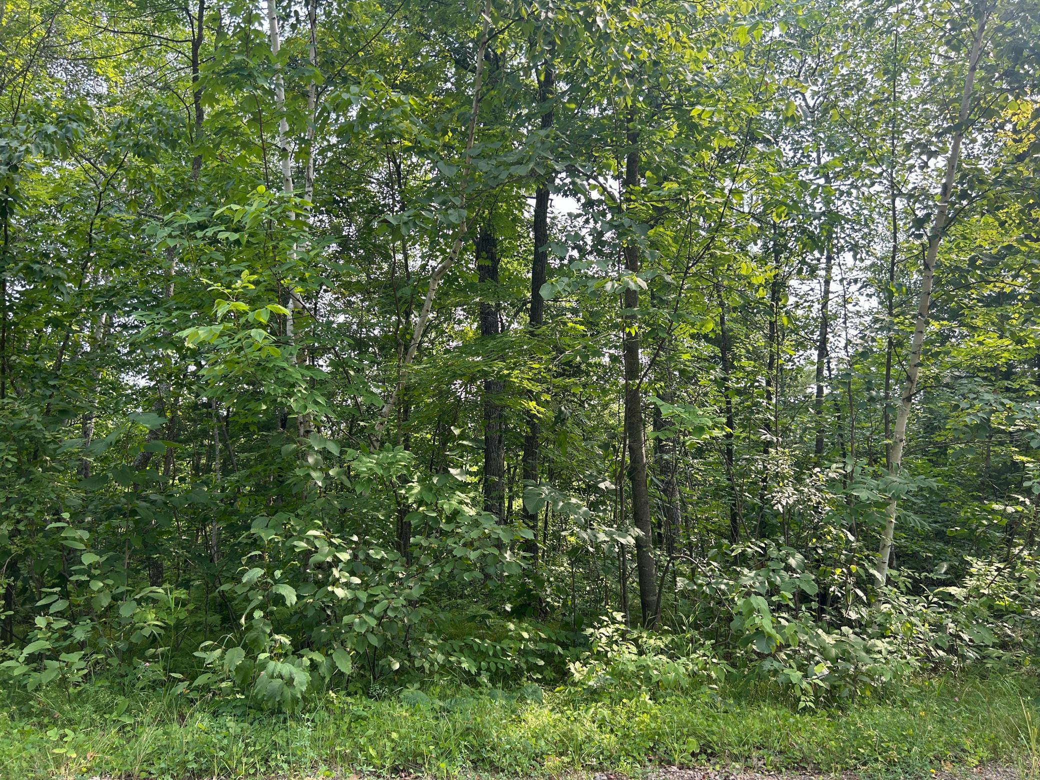 Tbd Central Street Property Photo 1