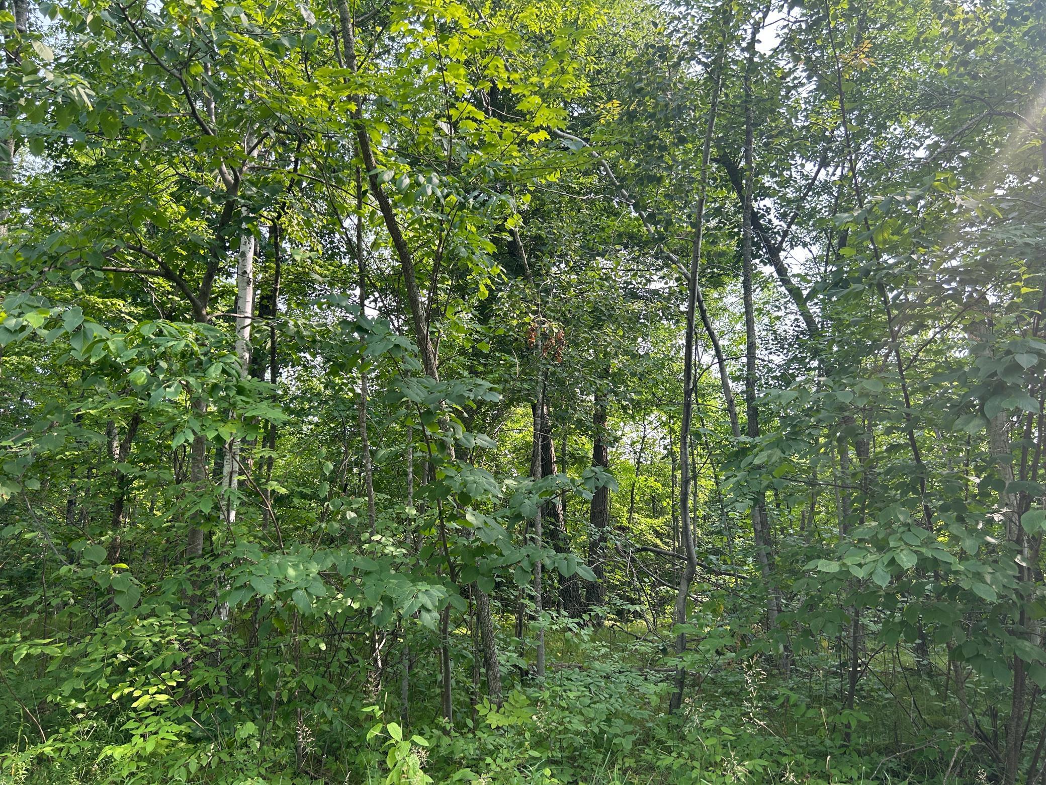 Tbd Central Street Property Photo 2