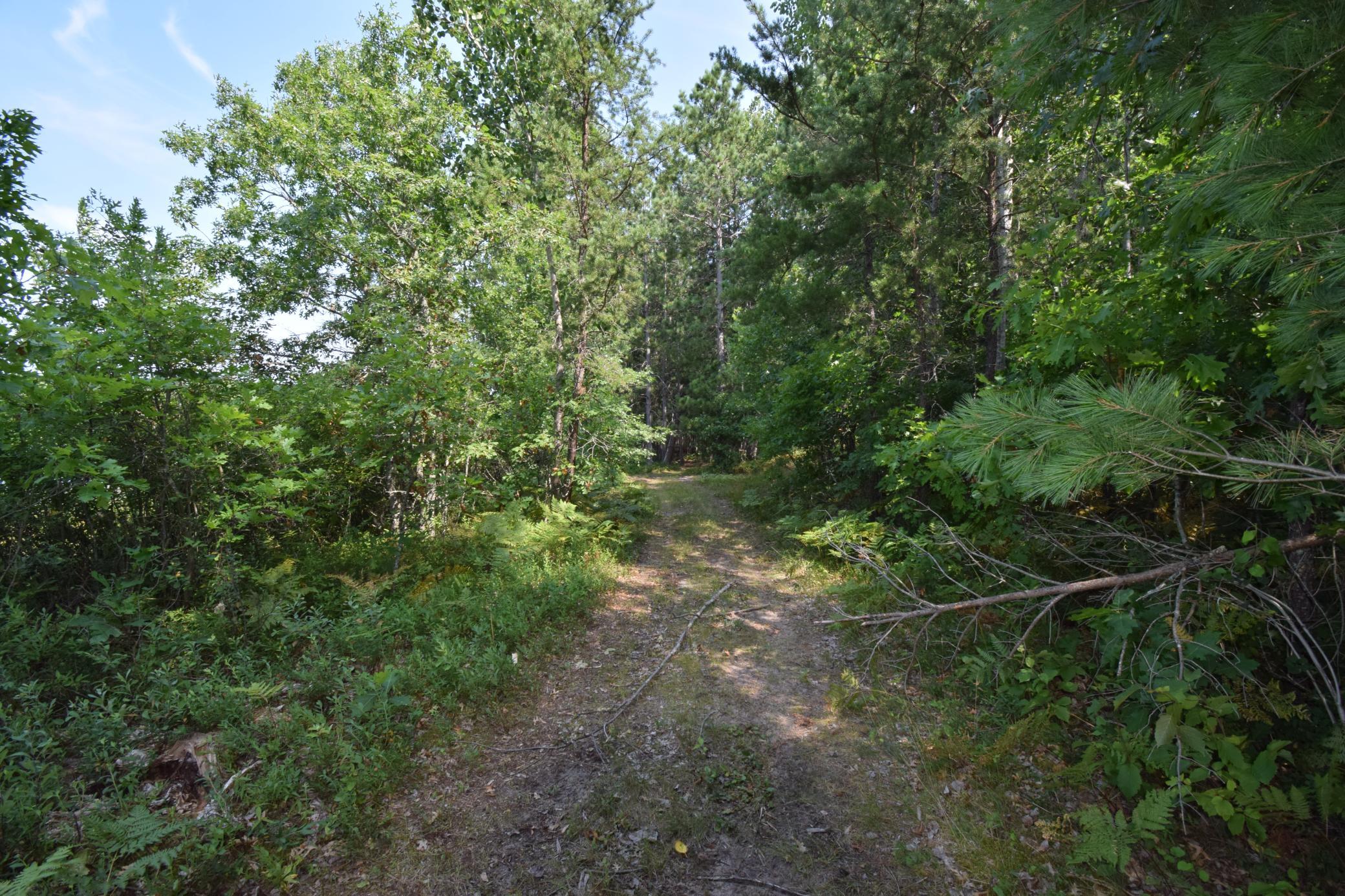 Lot 3 South Point Trail Property Photo 12