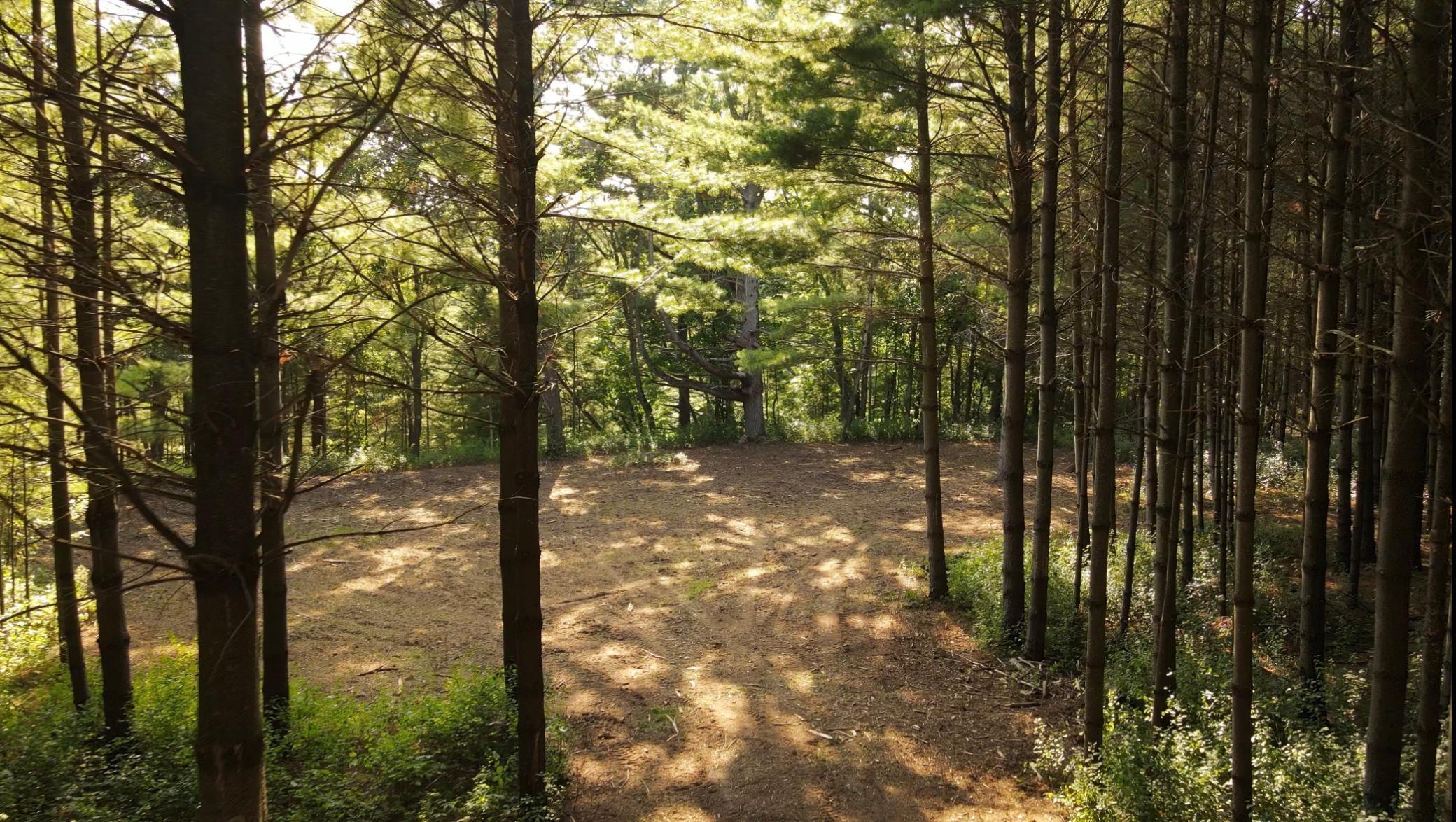 617 193rd Avenue Property Photo 7