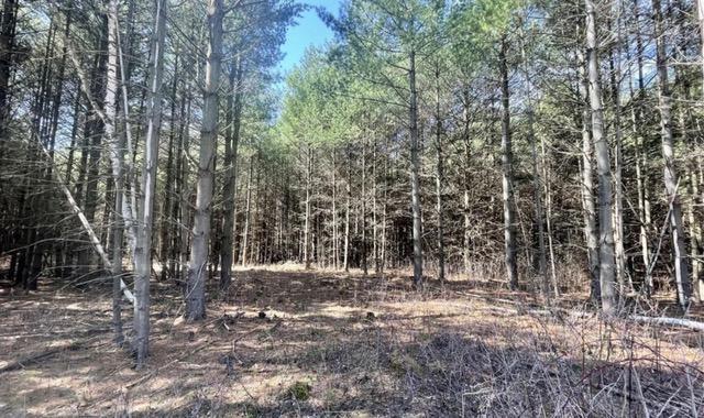 617 193rd Avenue Property Photo 19