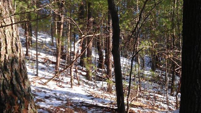 617 193rd Avenue Property Photo 23