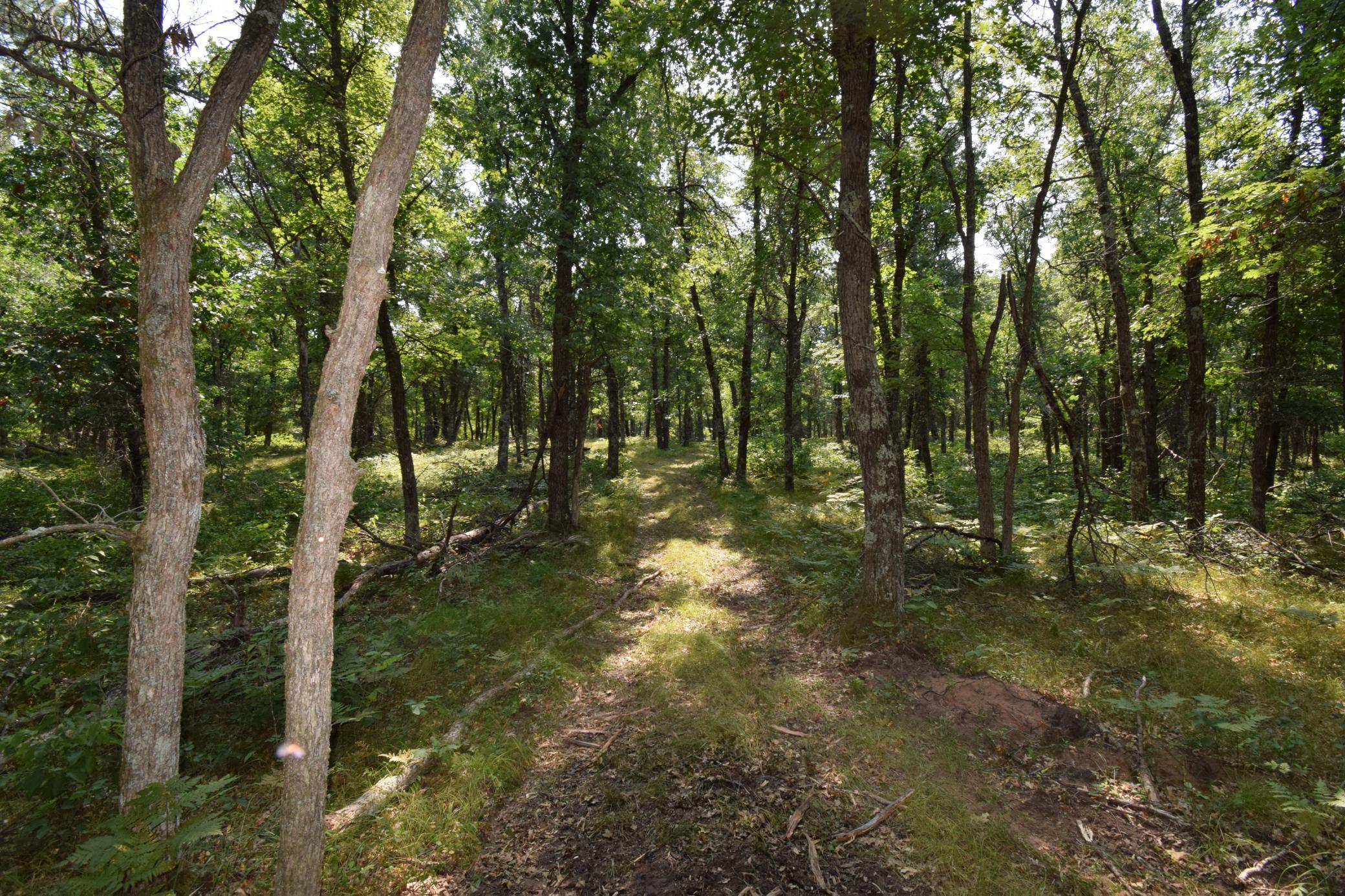 Lot 4 South Point Trail Property Photo 14