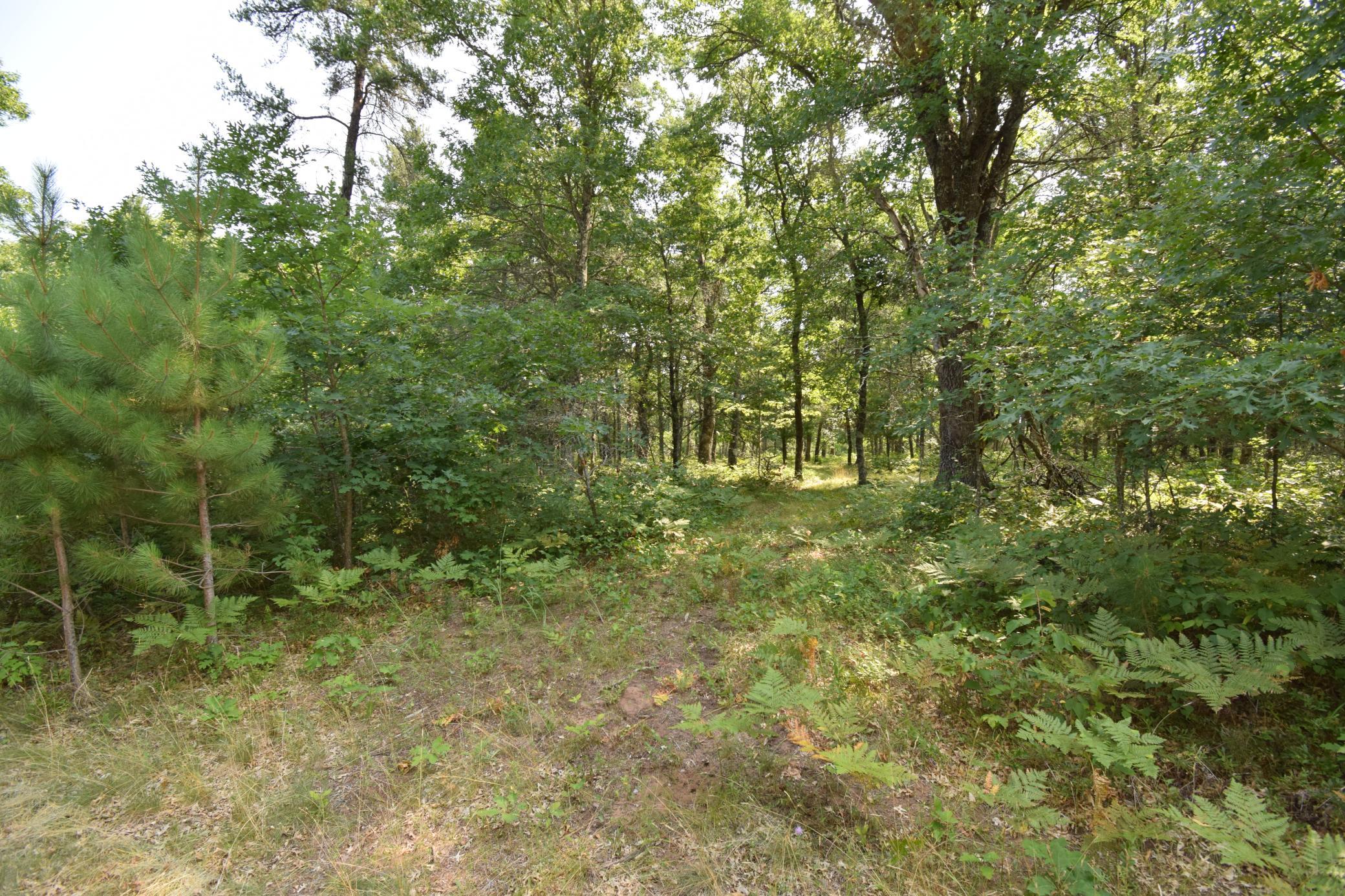 Lot 5 South Point Trail Property Photo 4