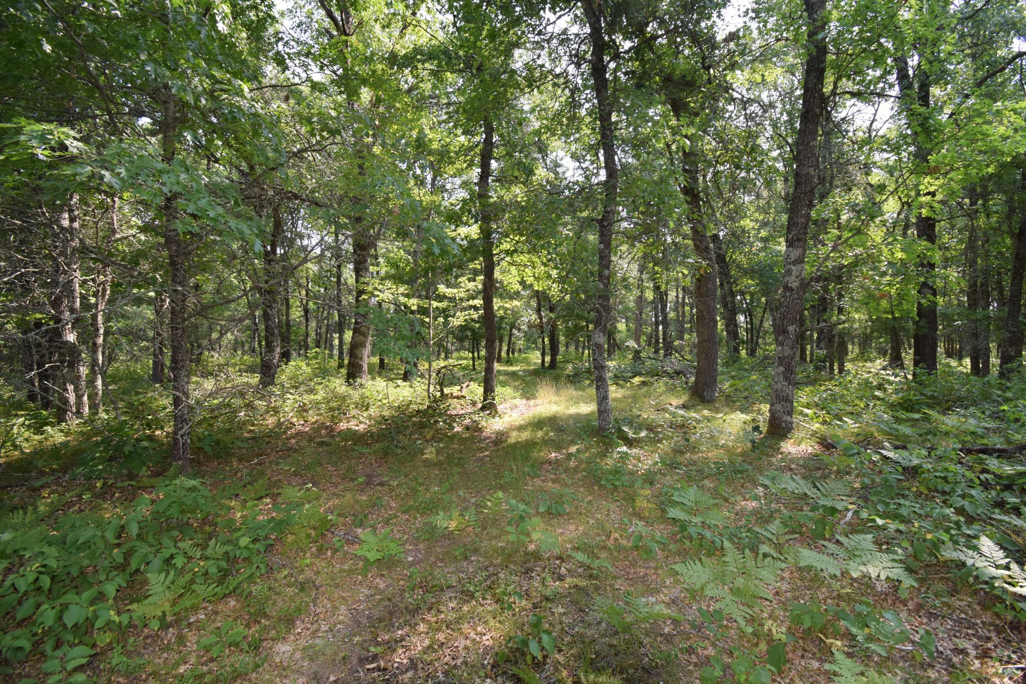 Lot 5 South Point Trail Property Photo 6
