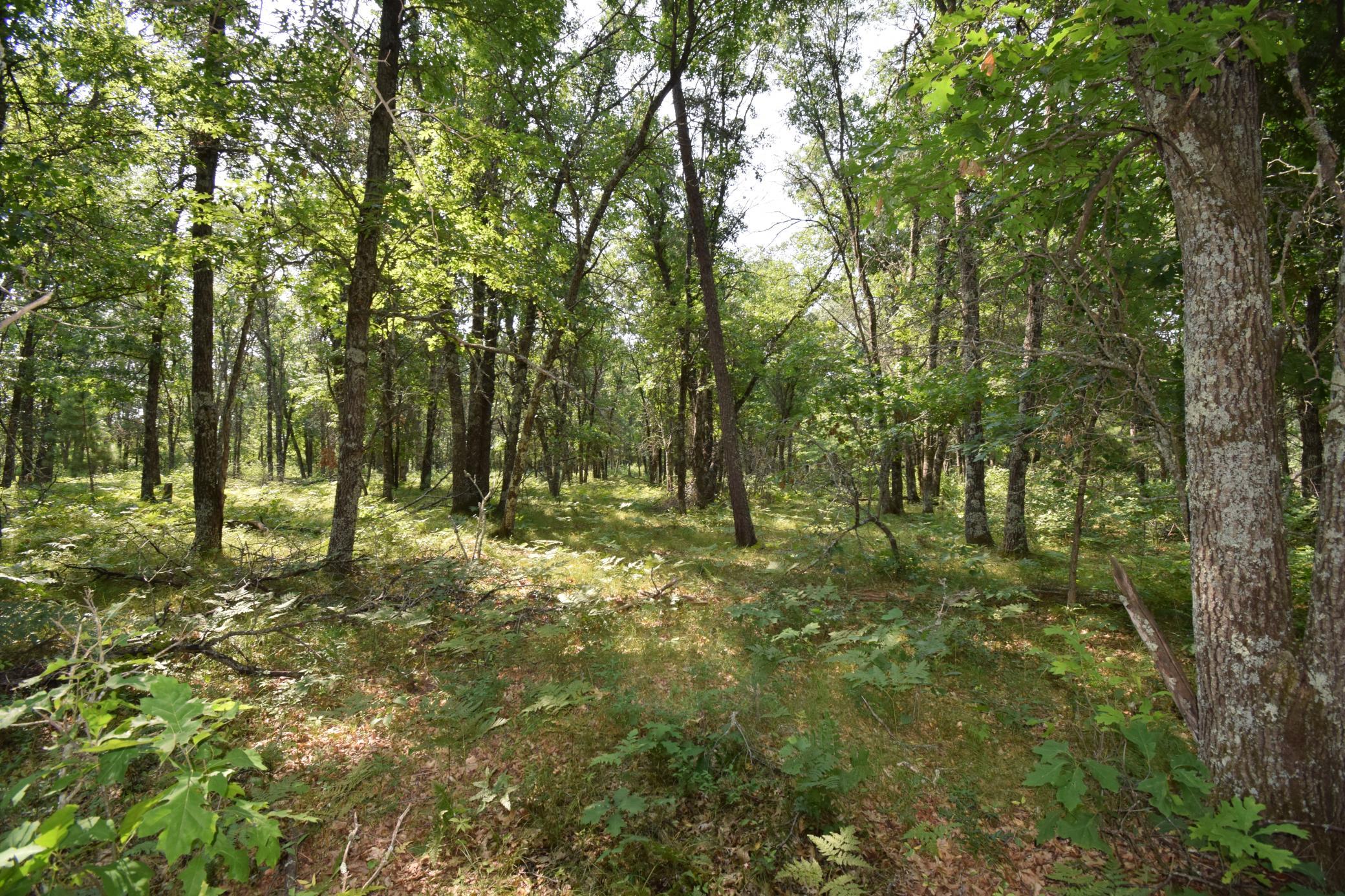 Lot 5 South Point Trail Property Photo 7