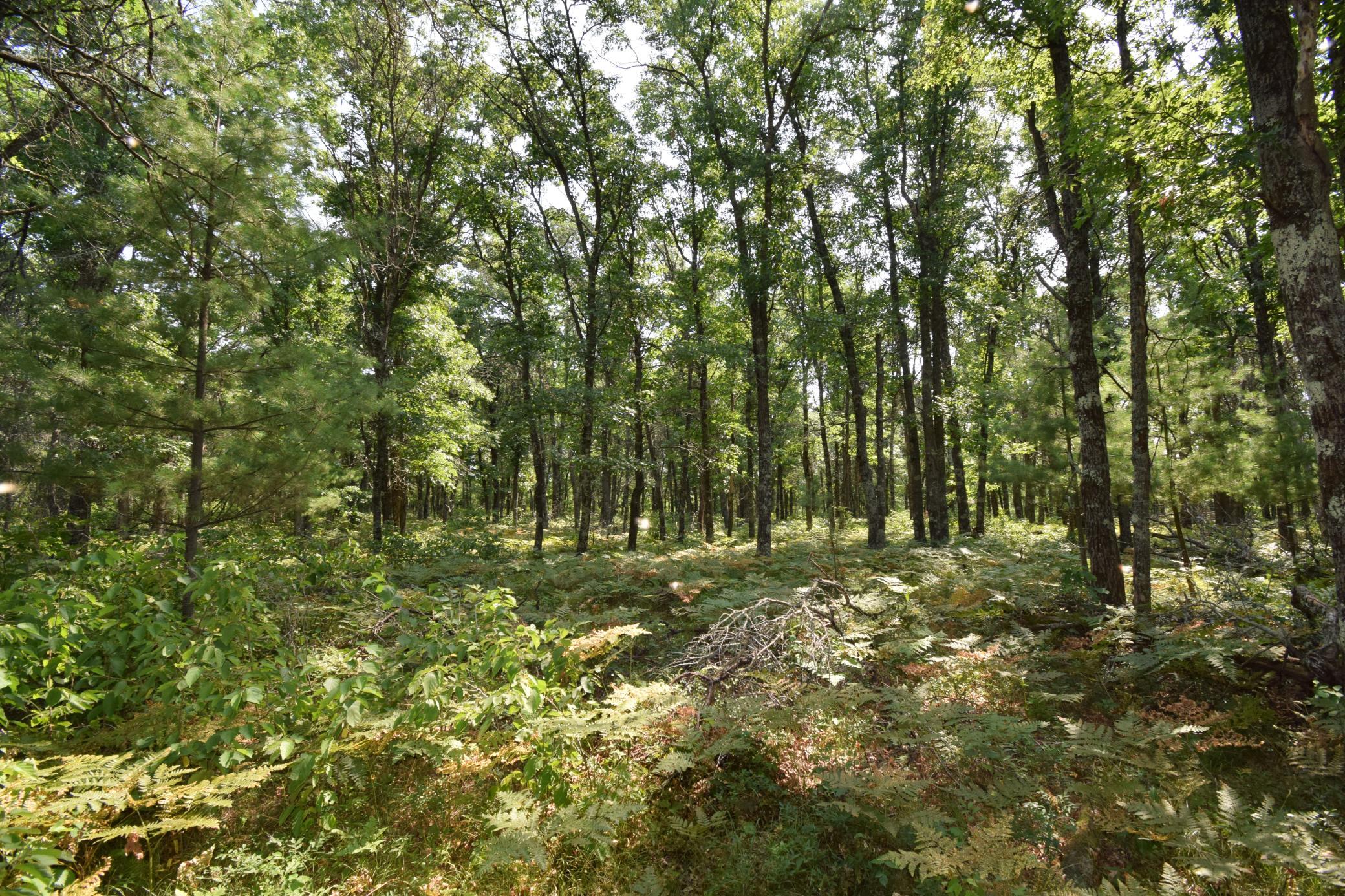 Lot 5 South Point Trail Property Photo 10