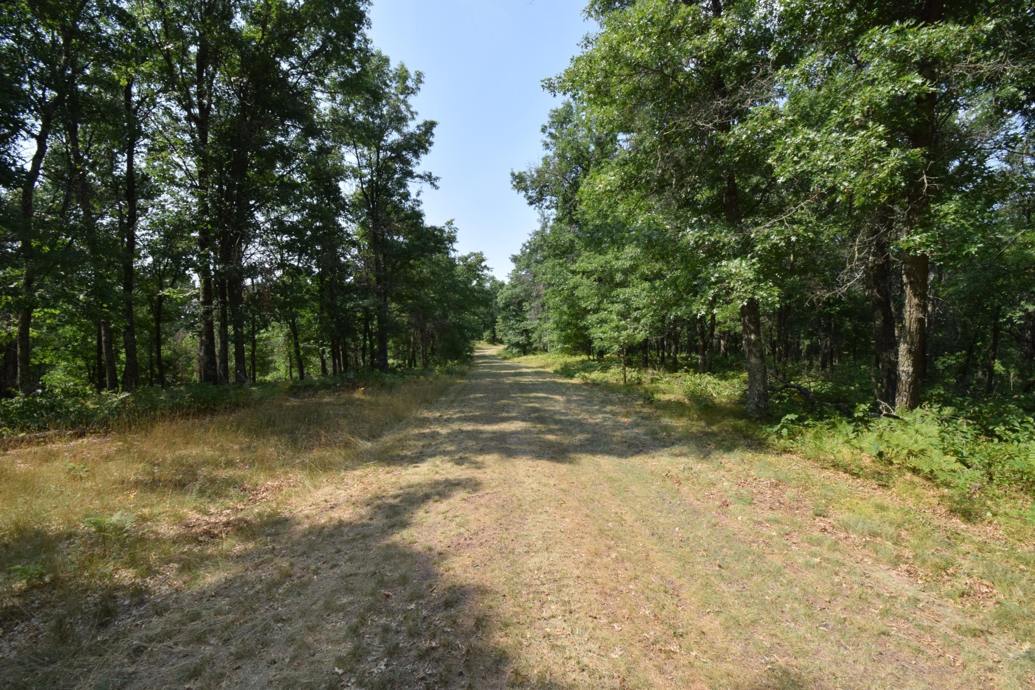 Lot 5 South Point Trail Property Photo 11