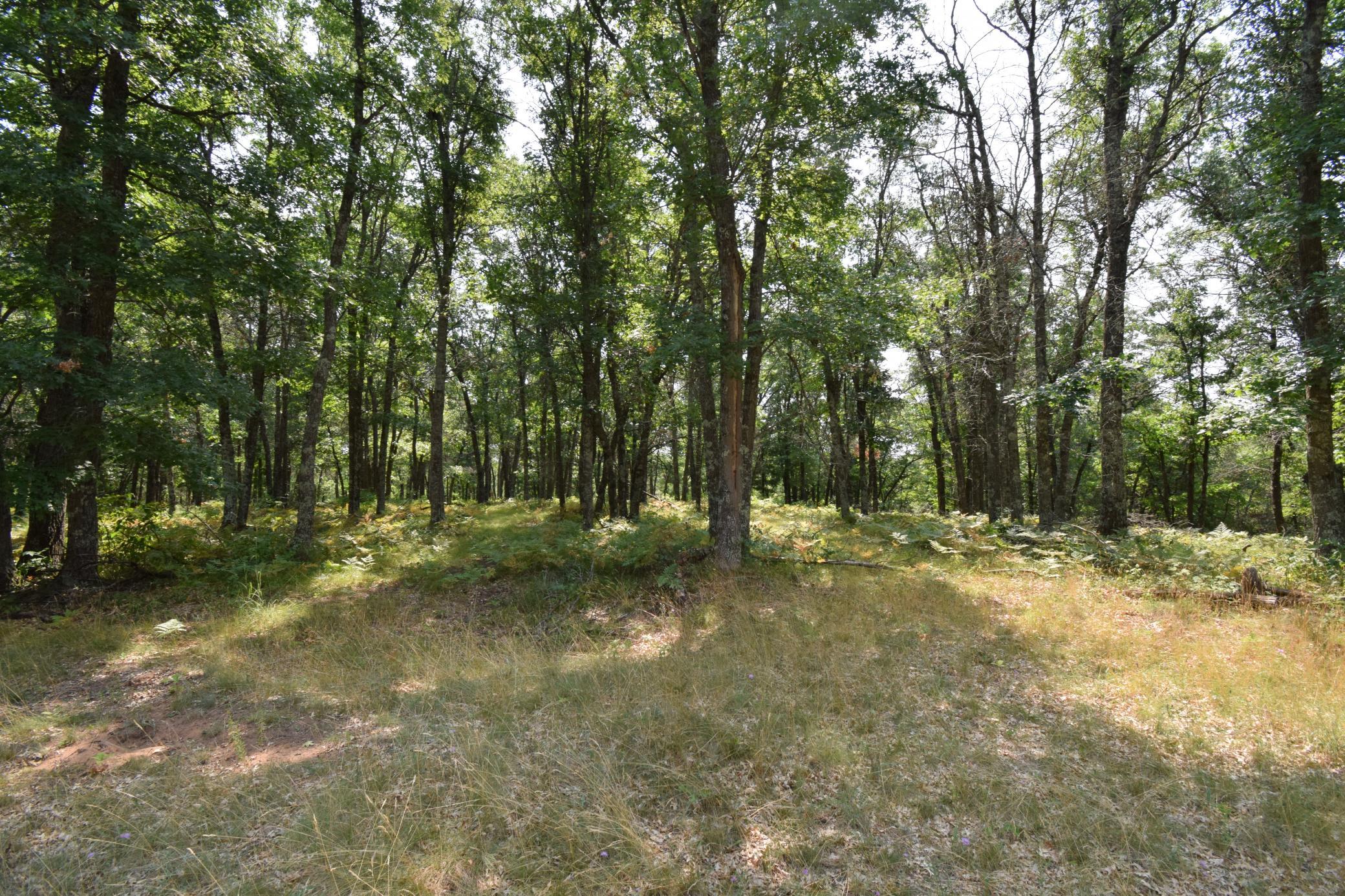 Lot 5 South Point Trail Property Photo 12