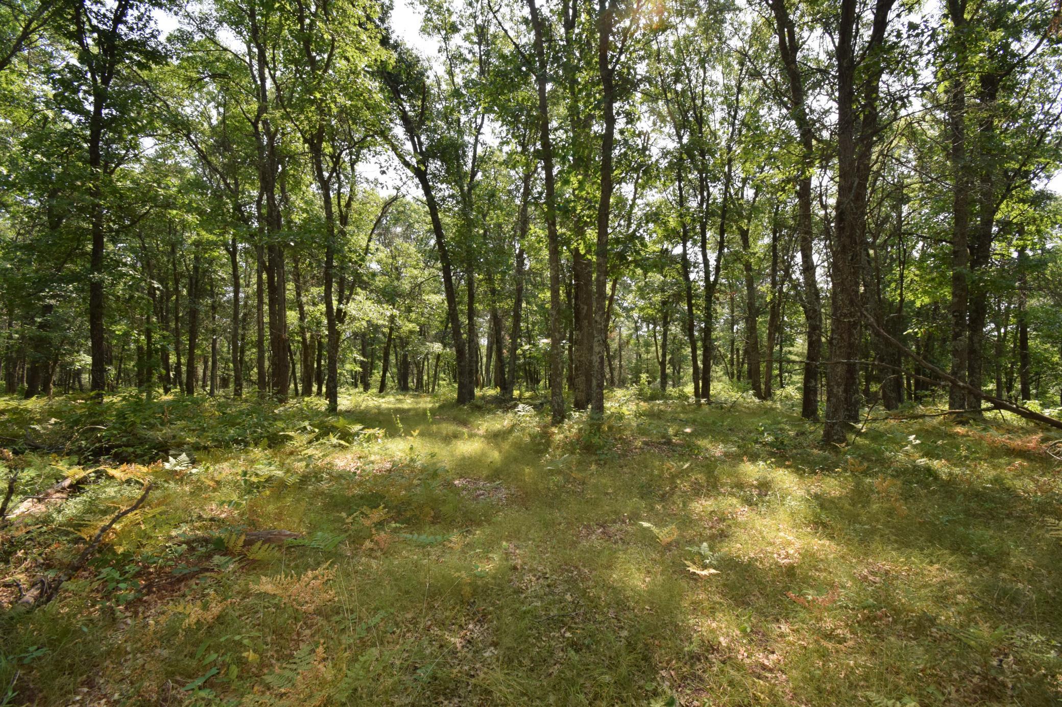 Lot 5 South Point Trail Property Photo 13