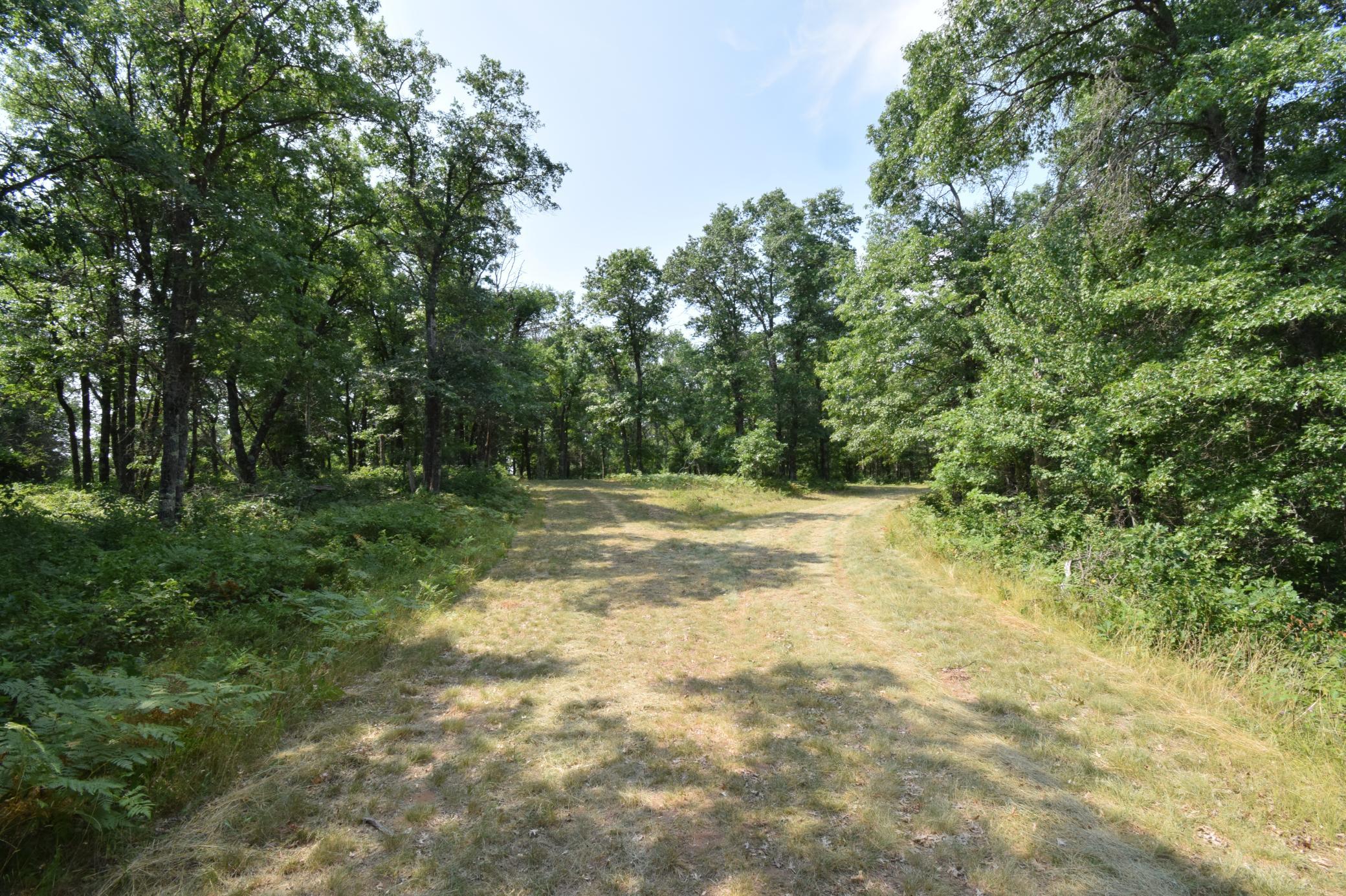 Lot 5 South Point Trail Property Photo 15